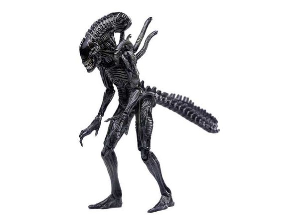 1/18 AVP2 アクションフィギュア ゼノ ウォーリアー