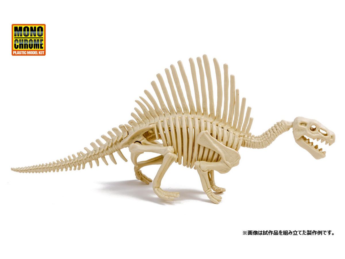 恐竜化石発掘モデル スピノサウルス