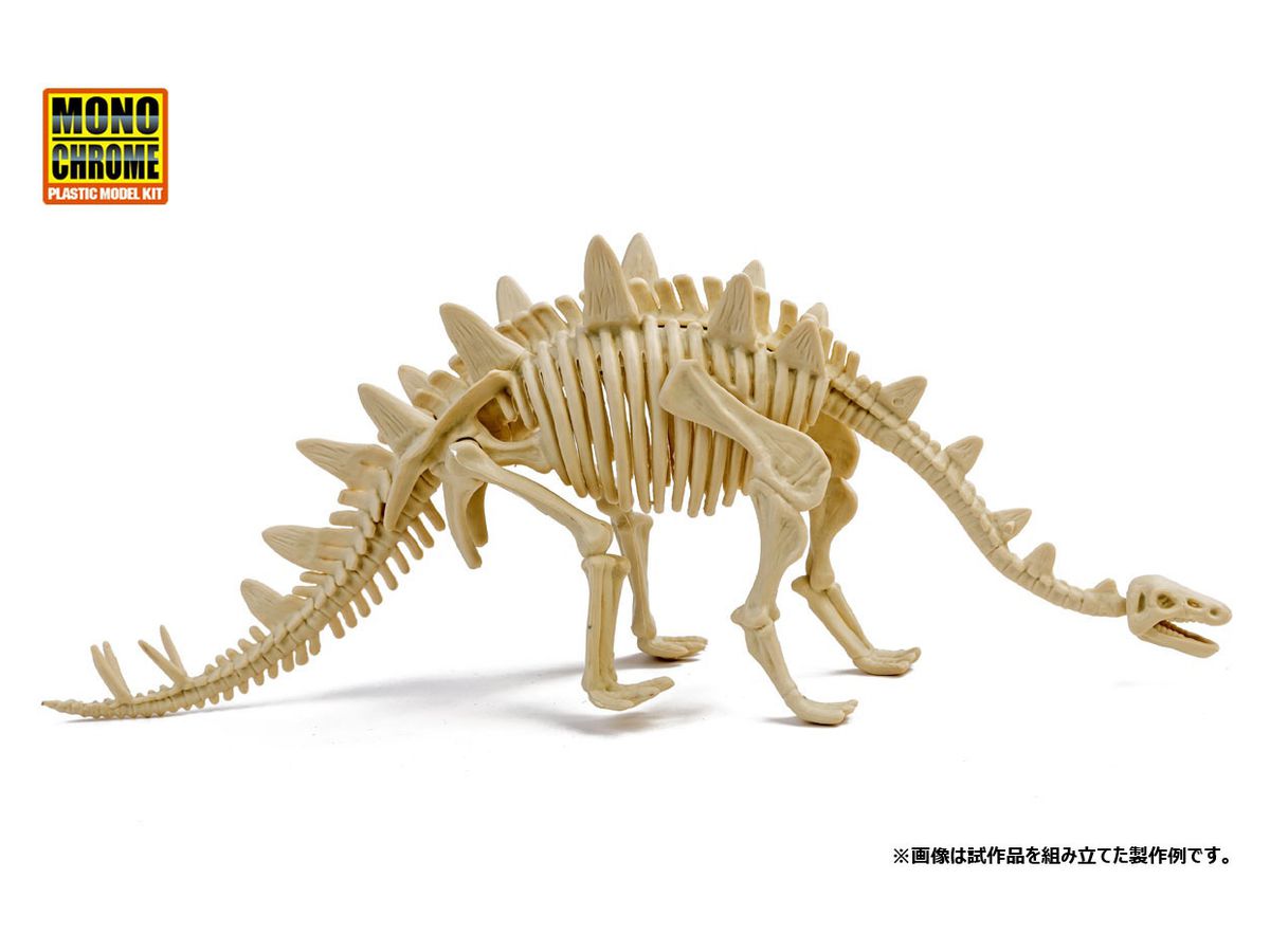 恐竜化石発掘モデル ステゴサウルス