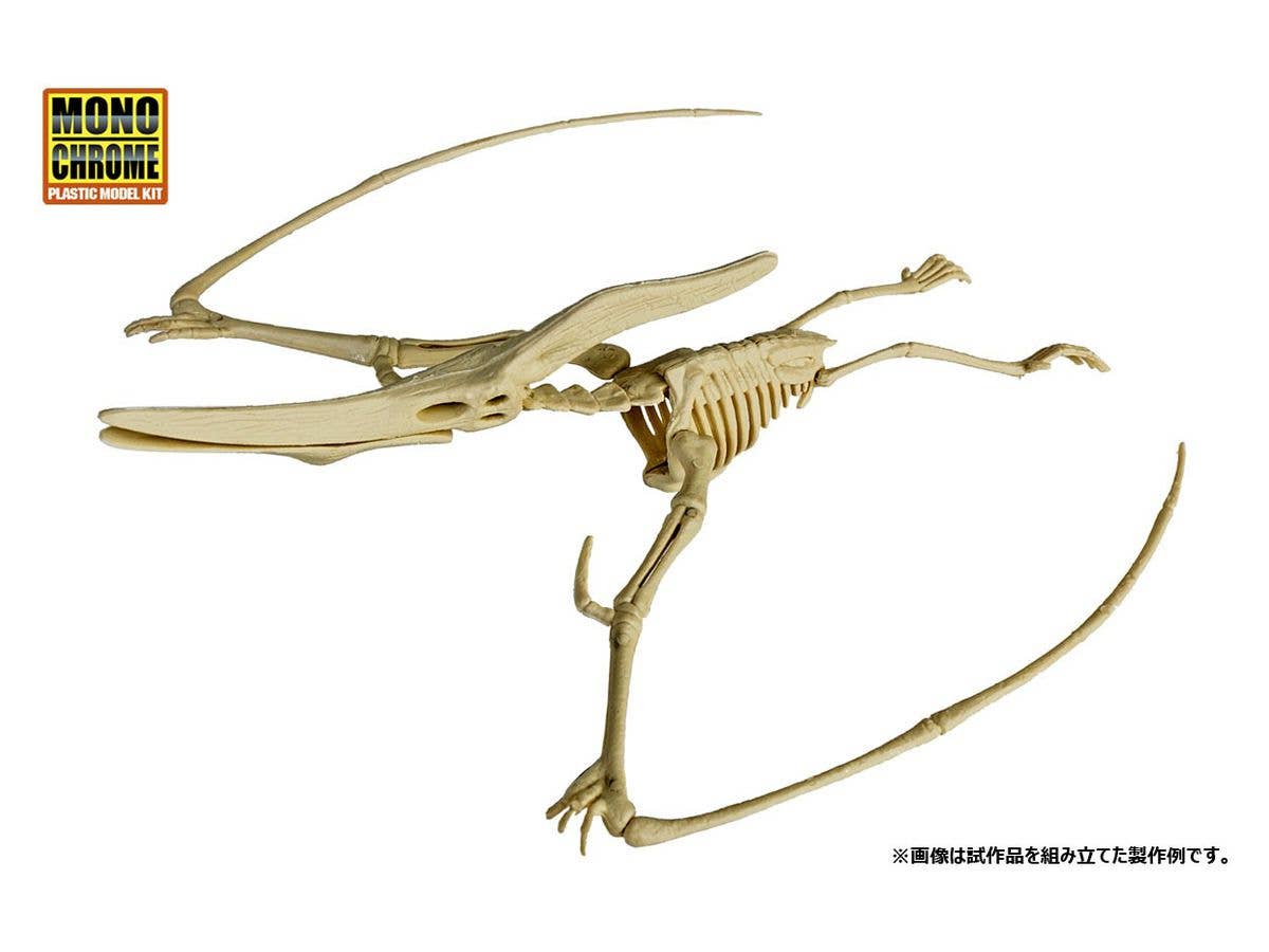 恐竜化石発掘モデル プテラノドン