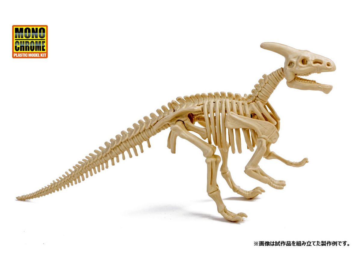 恐竜化石発掘モデル パラサウロロフス