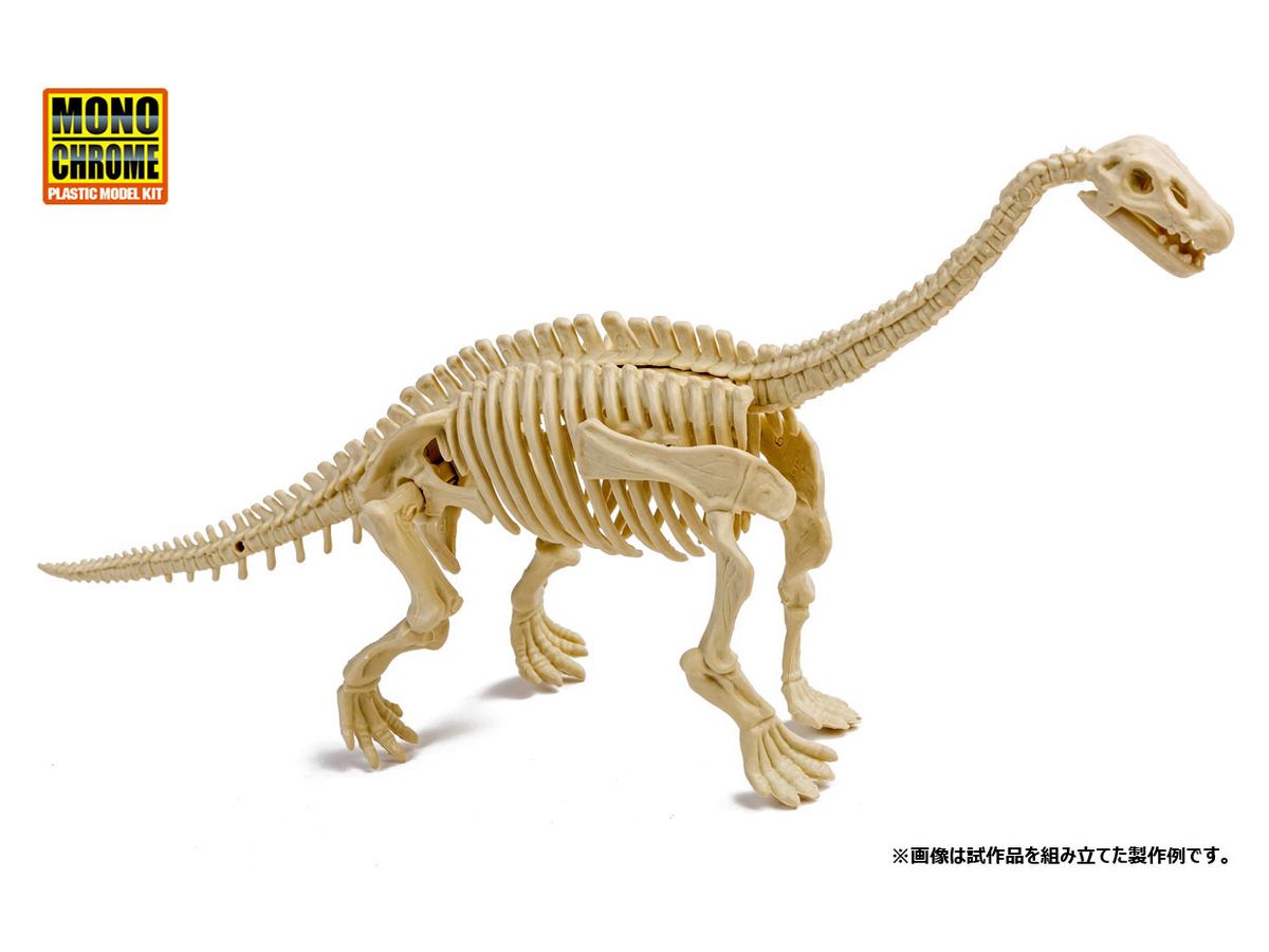 恐竜化石発掘モデル ディプロドクス