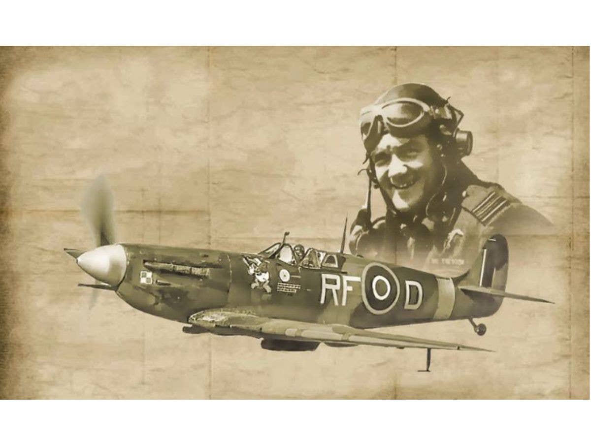 1/72 WW.II イギリス空軍 スピットファイアMk.V/Mk.IX エース