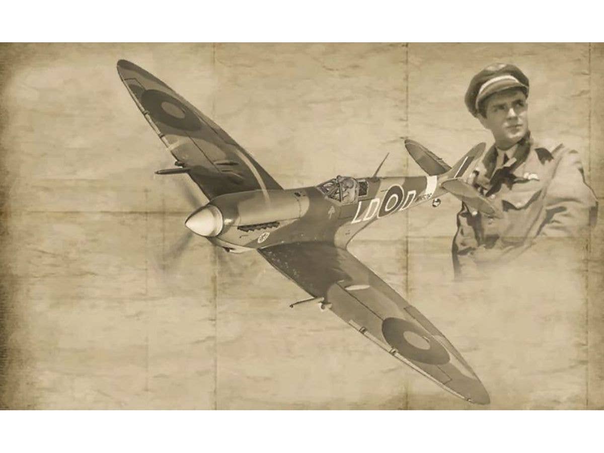 1/48 WW.II イギリス空軍 スピットファイアMk.IX エース