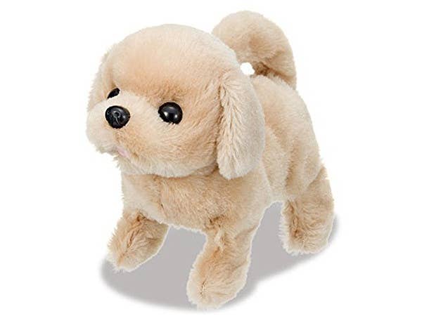 あかちゃん レトリバー