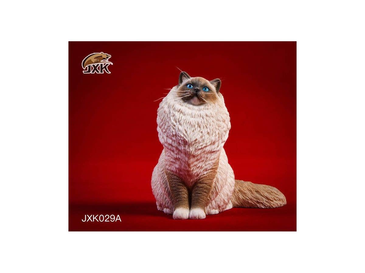 1/6 ラグドール A (Seal Mitted)