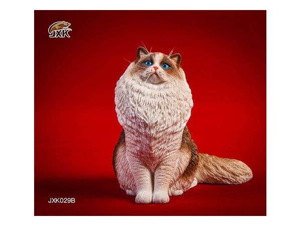 1/6 ラグドール B (Seal Bicolor)