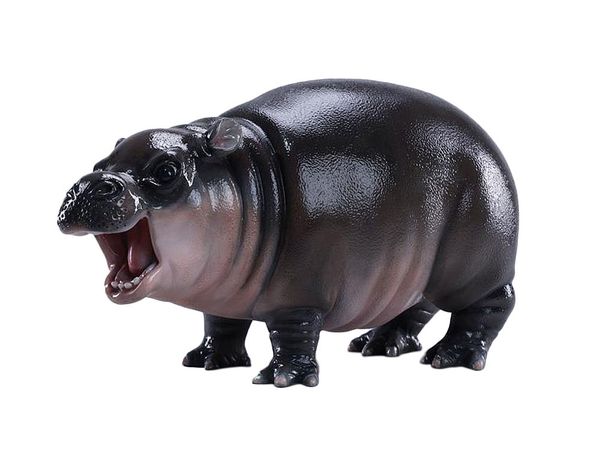 JXKスタジオ カバの赤ちゃん BIG