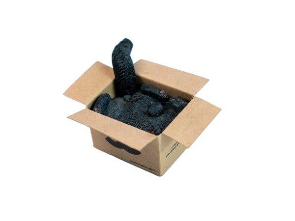 JXKスタジオ ダンボールボックス・キャット D