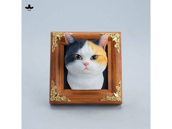 JXKスタジオ ジェントルアイド カントリーキャット A