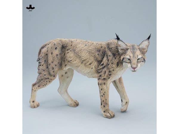 JXKスタジオ リンクス (オオヤマネコ) A
