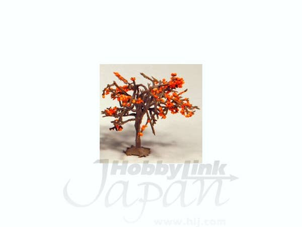 柿の木 40mm (3本入)