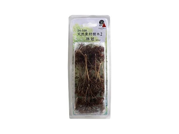 天然素材樹木2 林冠