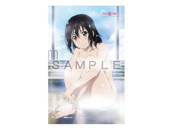 ストライク・ザ・ブラッド タオルケット (雪菜/お風呂)