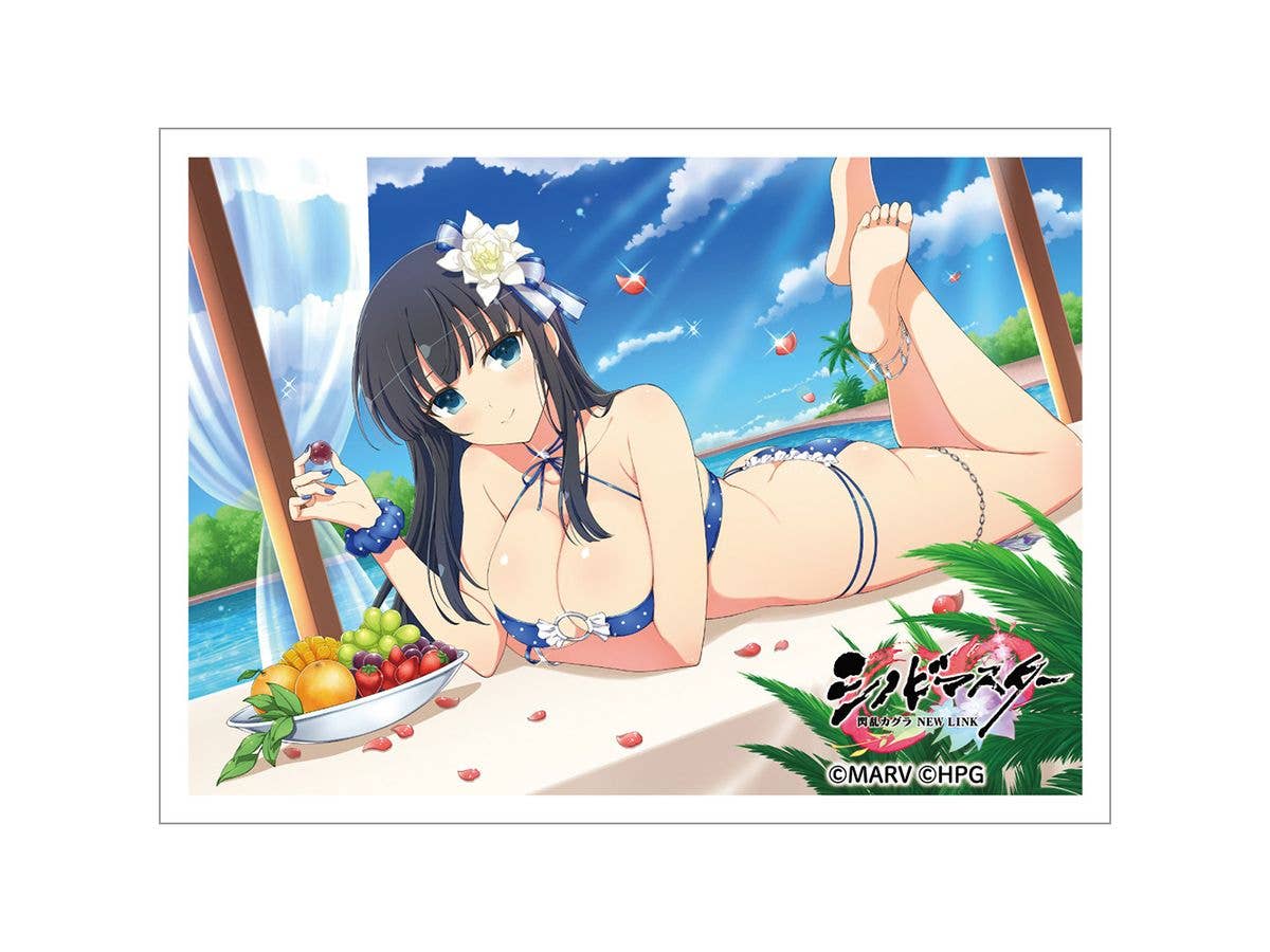 シノビマスター 閃乱カグラ NEW LINK: スリーブ (斑鳩 / 人気投票爆乳祭)