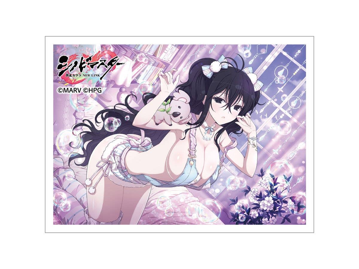 シノビマスター 閃乱カグラ NEW LINK: スリーブ (雪不帰 / 新乳祭・弐)