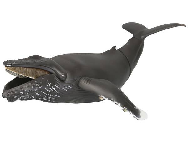 ソフビトイボックス013 クジラ ザトウクジラ