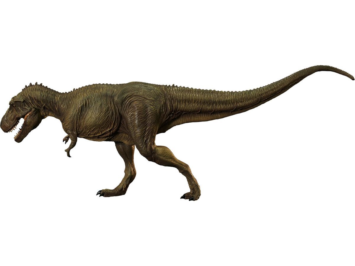 ティラノサウルス タイプB ミドル ソフビキット復刻版