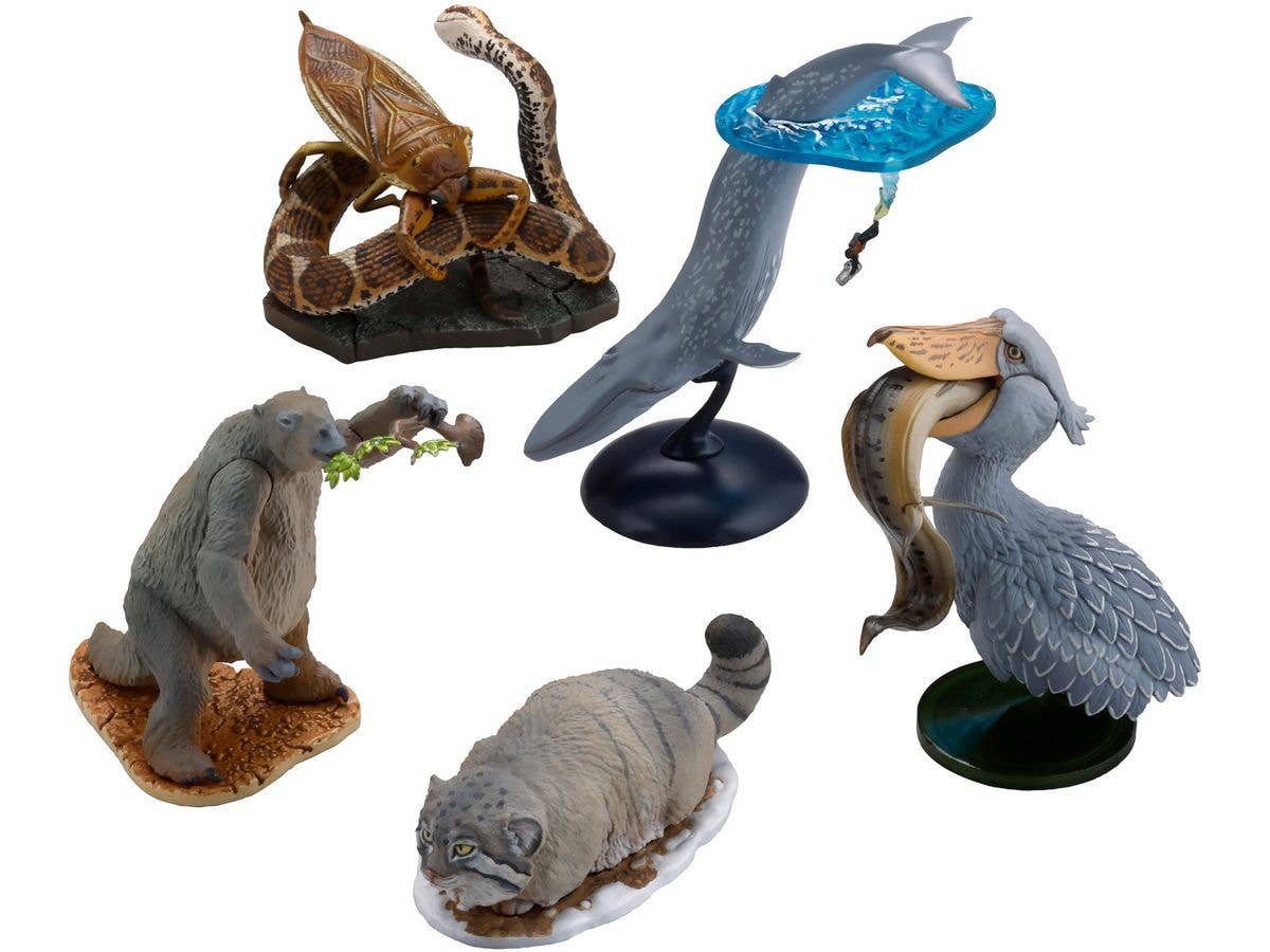 ダーウィンが来た! 驚きと感動!生きものたちの物語 ミニチュアフィギュア 1Box 10pcs