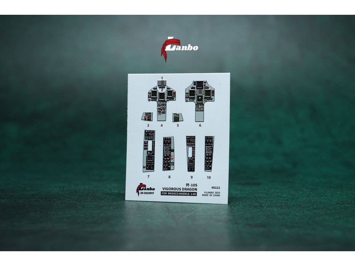 1/48 中国空軍 J-10S 複座戦闘機内装3Dデカール (ブロンコ用)