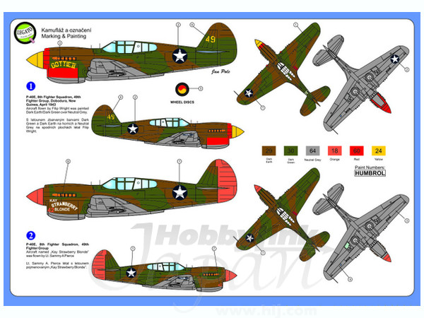 1/72 カーチス P-40E ウォホーク (アメリカ陸軍航空隊)