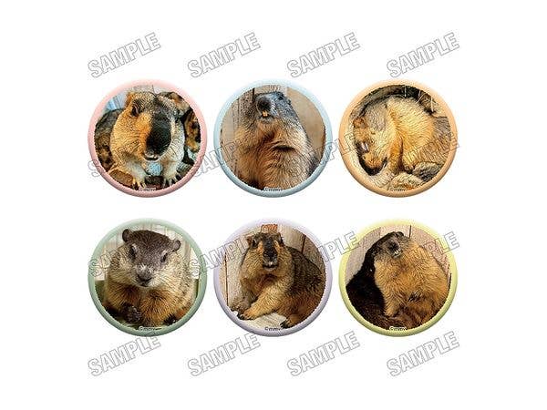 マーモットカフェ マーモット村: 缶バッジコレクション 1Box 6pcs