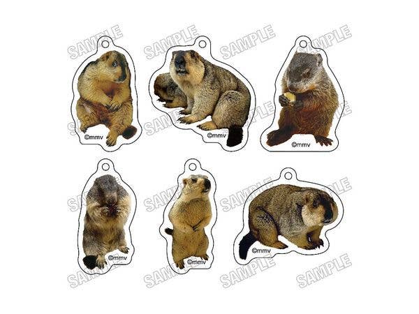 マーモットカフェ マーモット村: めじるしチャームコレクション 1Box 6pcs