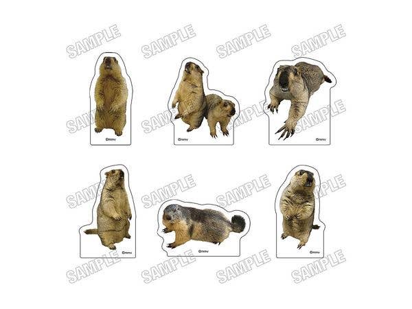 マーモットカフェ マーモット村: アクリルブロックコレクション 1Box 6pcs