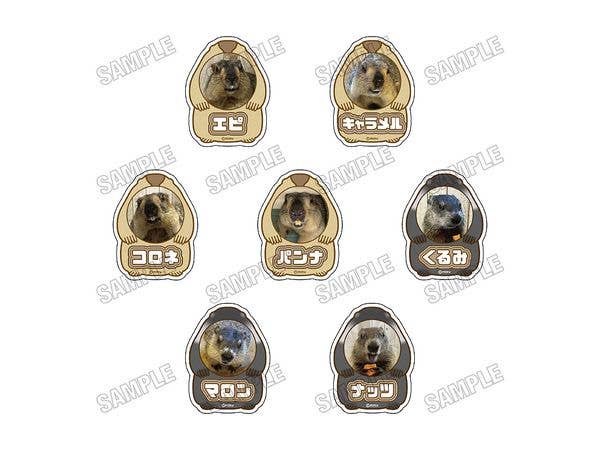 マーモットカフェ マーモット村: アクリルネームバッジコレクション vol.1 1Box 7pcs