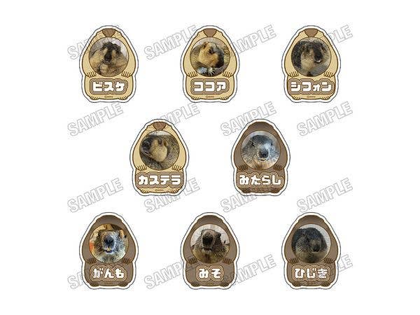 マーモットカフェ マーモット村: アクリルネームバッジコレクション vol.2 1Box 8pcs