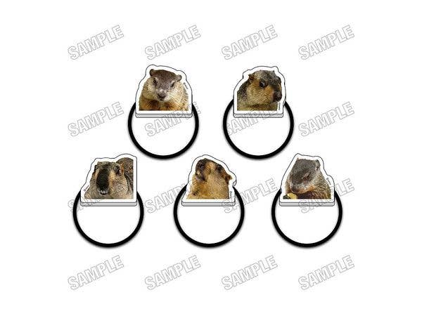 マーモットカフェ マーモット村: アクリルヘアゴムコレクション 1Box 5pcs