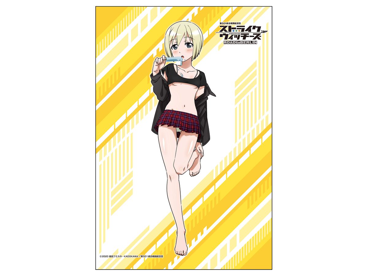 TVアニメ ストライクウィッチーズ ROAD to BERLIN 描き下ろしB2タペストリー エーリカ・ハルトマン