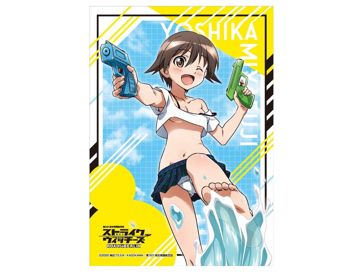 TVアニメ ストライクウィッチーズ ROAD to BERLIN 描き下ろしA4マルチクロス 宮藤 芳佳