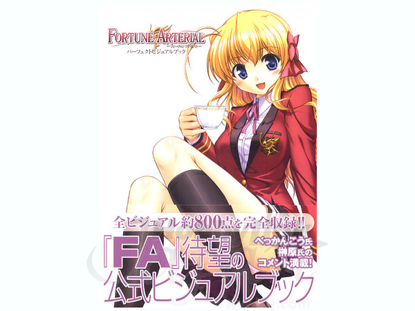 FORTUNE ARTERIAL パーフェクト ビジュアルブック