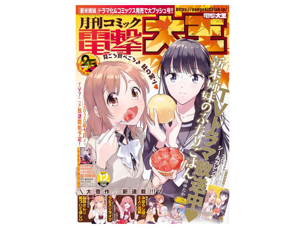 コミック電撃大王 2019年12月号