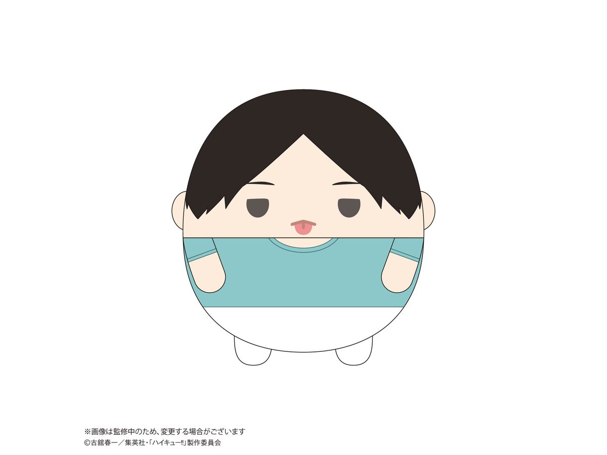 HQ-71 ハイキュー!! ふわコロりん Msize9 D : 国見 英 | HLJ.co.jp