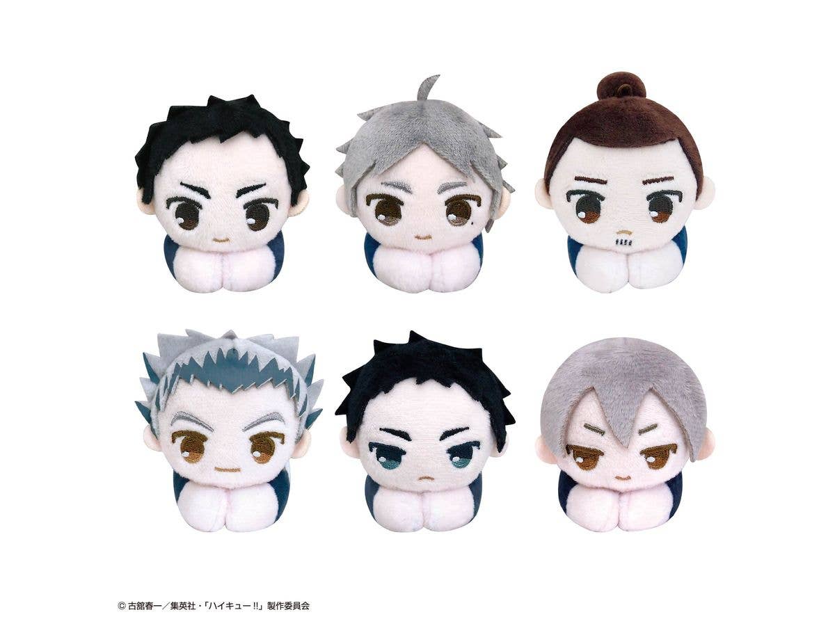 ハイキュー!!: HQ-98 ふわコロりんMsize 6 G 影山 飛雄 (Tシャツver