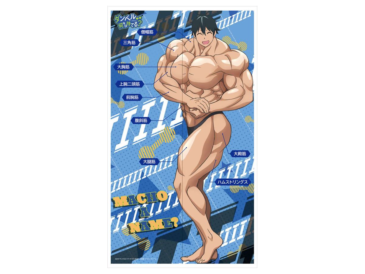 ダンベル何キロ持てる? マルチタペストリーのれん