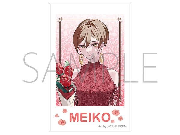 電波女と青春男 抱き枕カバー (藤和エリオ) | HLJ.co.jp