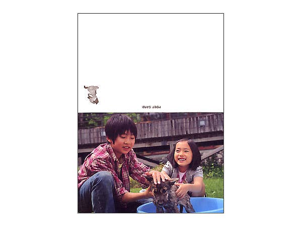 ウルルの森の物語 ポストカードブック