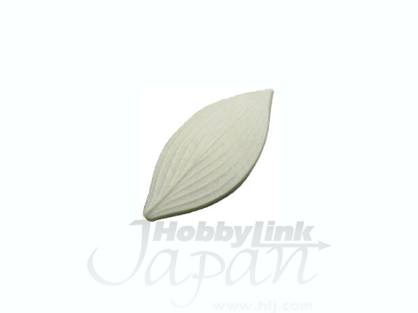 葉型 ギボウシ