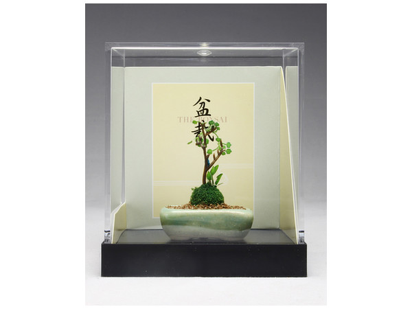 1/12 THE BONSAI 野草寄せ植え [水色角鉢]