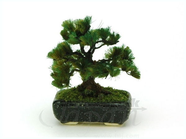 1/12 THE BONSAI 角鉢松 (黒)