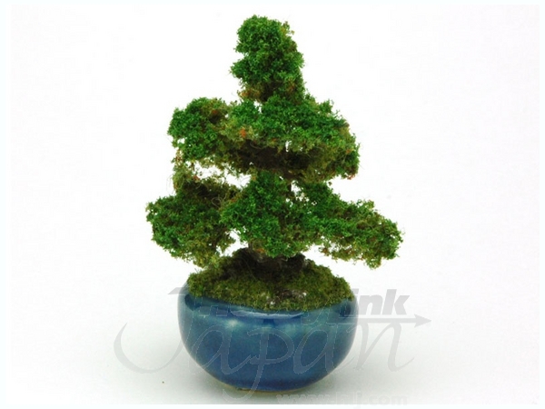 1/12 THE BONSAI 丸鉢杉 (紺)