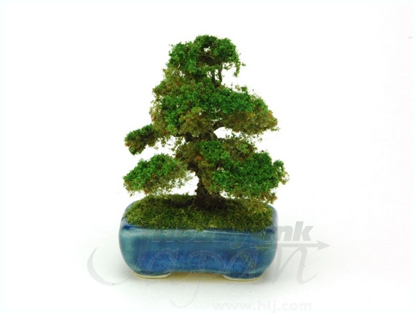 1/12 THE BONSAI 角鉢杉 (紺)