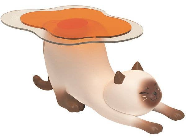 下受けのネコ (シャム猫)