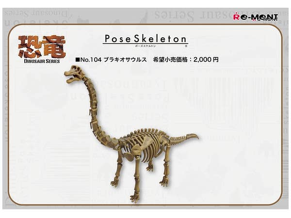 ポーズスケルトン 恐竜シリーズ 104 ブラキオサウルス