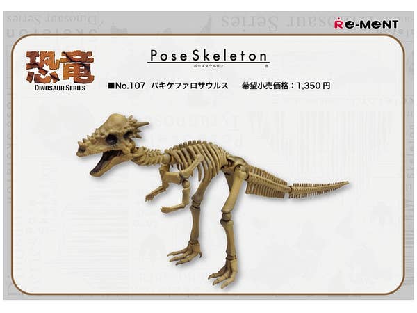 ポーズスケルトン 恐竜シリーズ 107 パキケファロサウルス