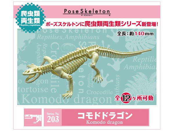 ポーズスケルトン 爬虫類 両生類 No.203 コモドドラゴン