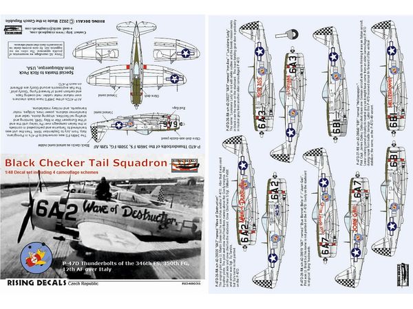 1/48 チェッカーテール 米陸軍航空軍 第346飛行隊、イタリア